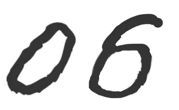 06